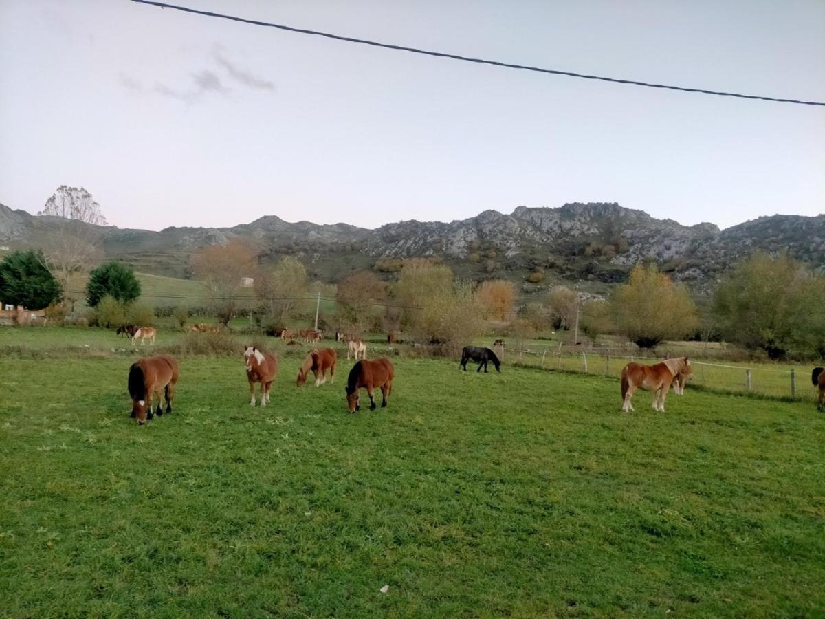Turismo En Babia Bajo Los Nidos San Emiliano Ngoại thất bức ảnh